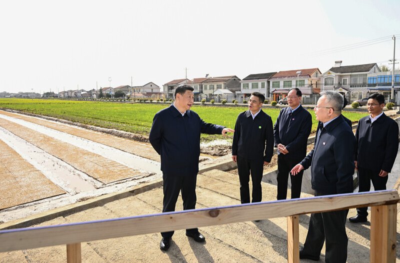 人民领袖｜踏春行