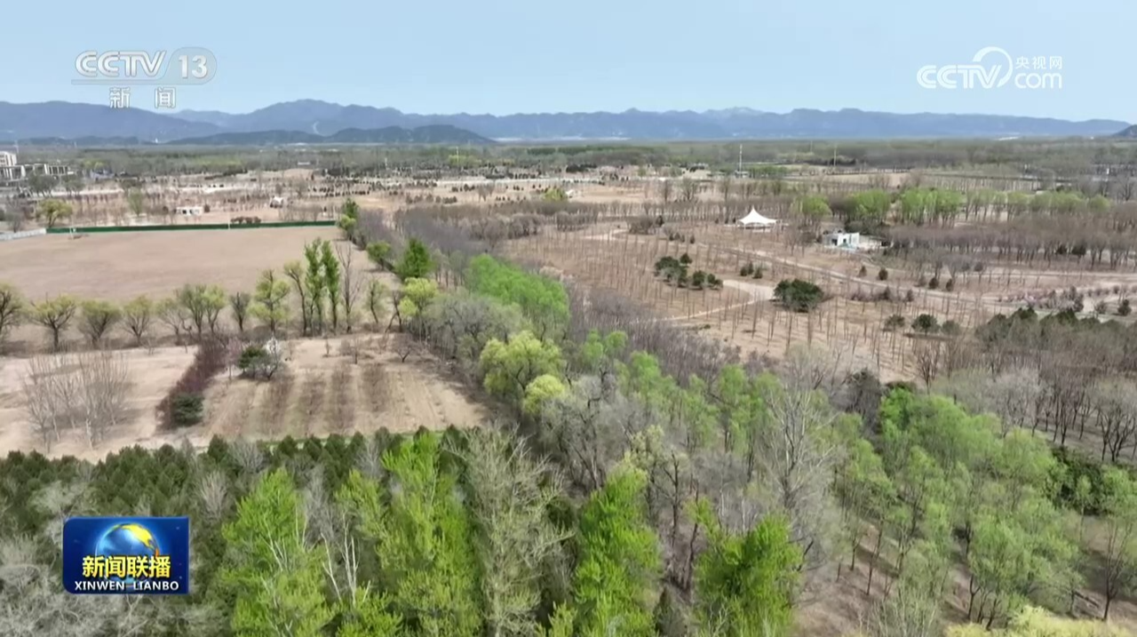让中国式现代化的底色更加亮丽——习近平总书记参加首都义务植树活动时的重要讲话在广大干部群众中引发热烈反响