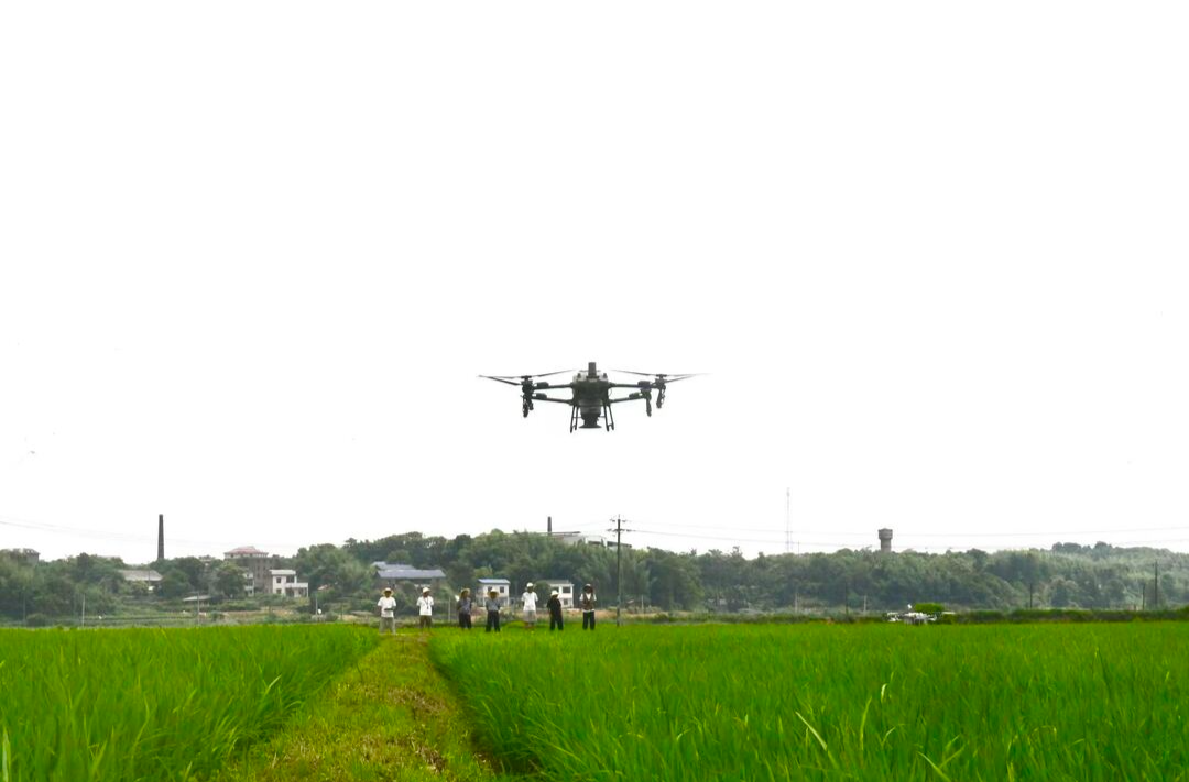 株洲日报头版丨从“会种田”到“慧种田”  北斗指路 农事新生