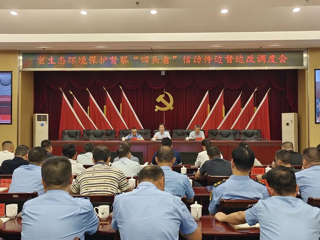 株洲市全力推进督察“回头看”边督边改工作