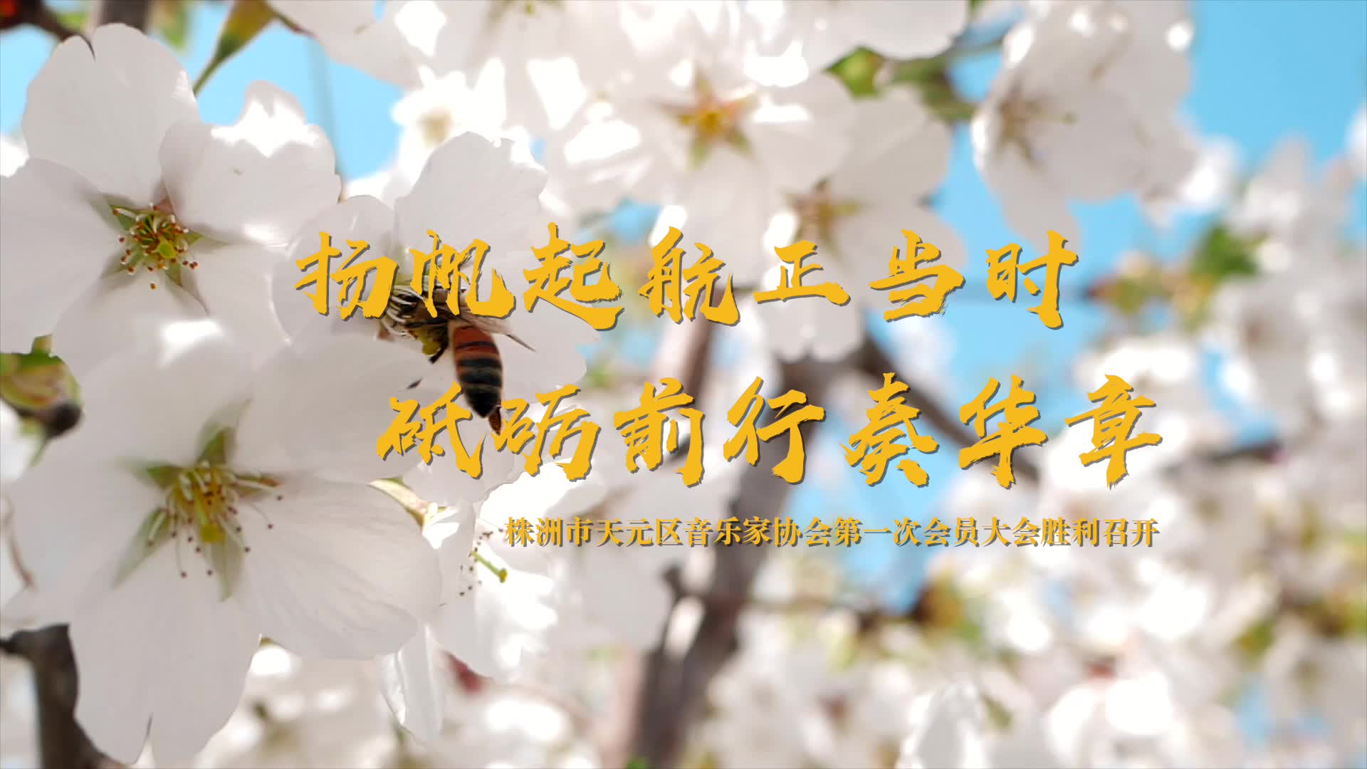 扬帆起航正当时 砥砺前行奏华章——株洲市天元区音乐家协会第一次会员大会胜利召开