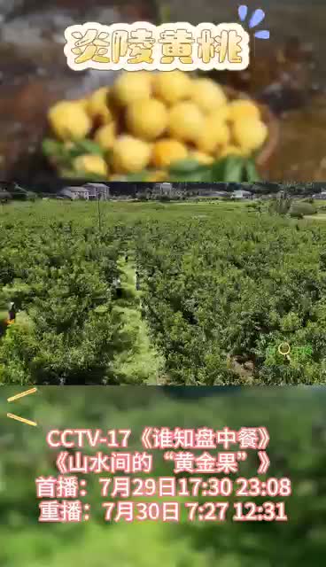 锁定CCTV-17 《谁知盘中餐》炎陵黄桃特辑—— 《消夏美味快乐吃—山水间的“黄金果”》