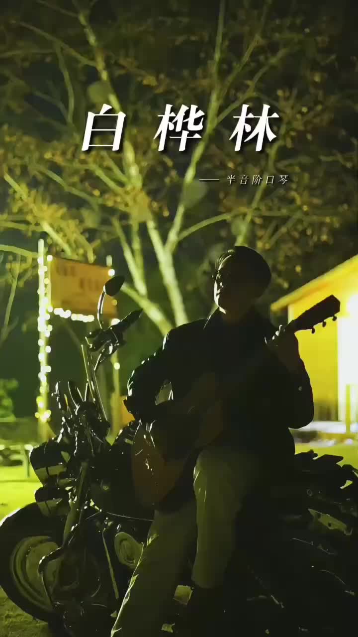 音乐作品：《白桦林》