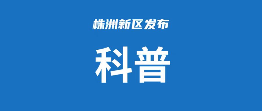 【科普动起来】图解|森林火灾如何防范与逃生？这份指南要牢记